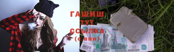гашик Осташков