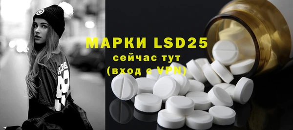 гашик Осташков