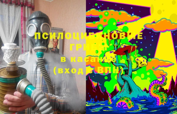 гашик Осташков