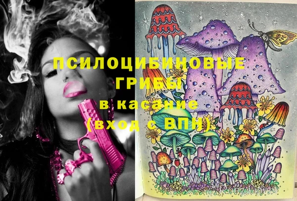 гидропоника Пересвет
