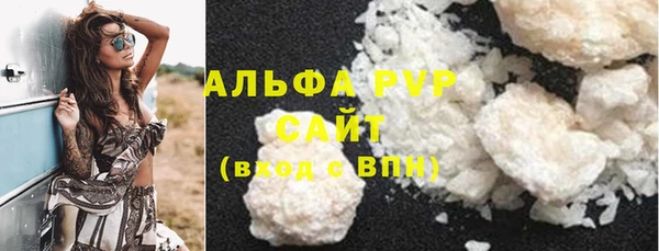 гашик Осташков