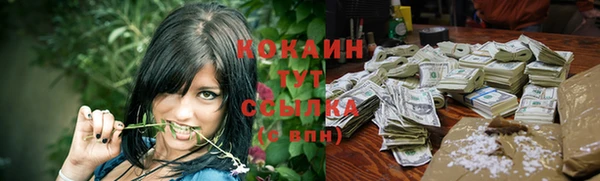 ГАЛЛЮЦИНОГЕННЫЕ ГРИБЫ Пестово