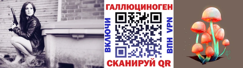 Купить закладки  Карачаевск  Псилоцибиновые грибы Magic Shrooms 